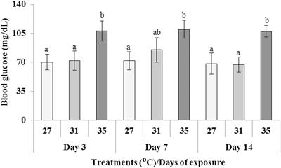 Nuclear and Cellular Abnormalities of Erythrocytes in Response to Thermal Stress in Common Carp Cyprinus carpio